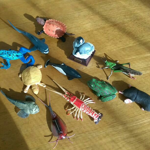 ♥海洋堂　ペンギン　カメ⭕水族館⭕カエル　バッタ　海老　エビ　ヤドクガエル