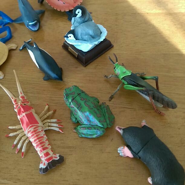 ♥海洋堂　ペンギン　カメ⭕水族館⭕カエル　バッタ　海老　エビ　ヤドクガエル