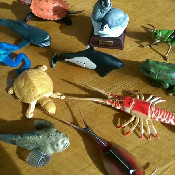 ♥海洋堂　ペンギン　カメ⭕水族館⭕カエル　バッタ　海老　エビ　ヤドクガエル