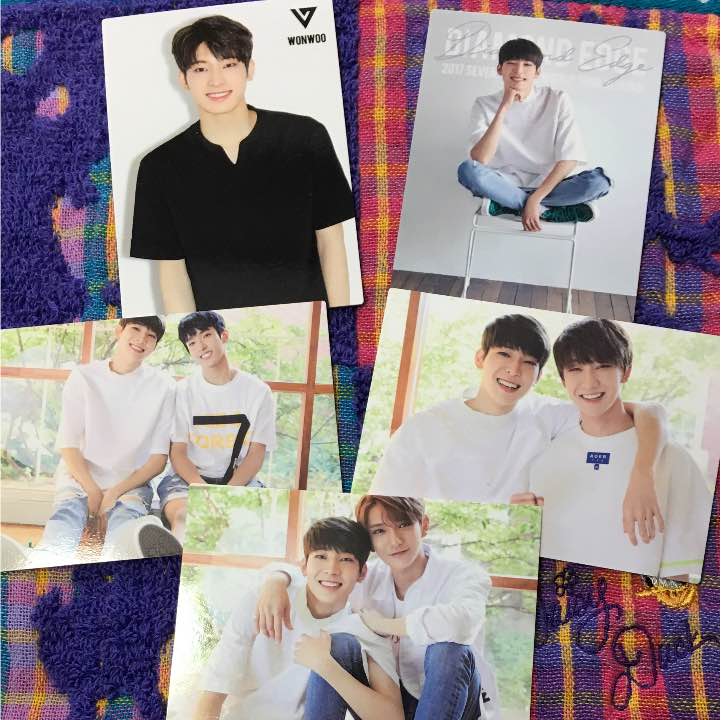 Trading cards - Wonwoo set
