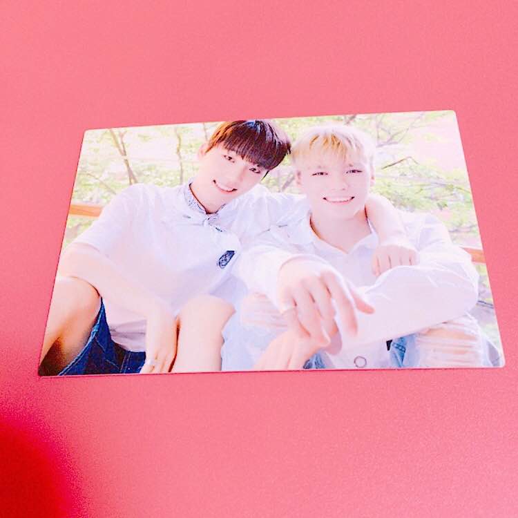 Trading cards - Vernon&Dino