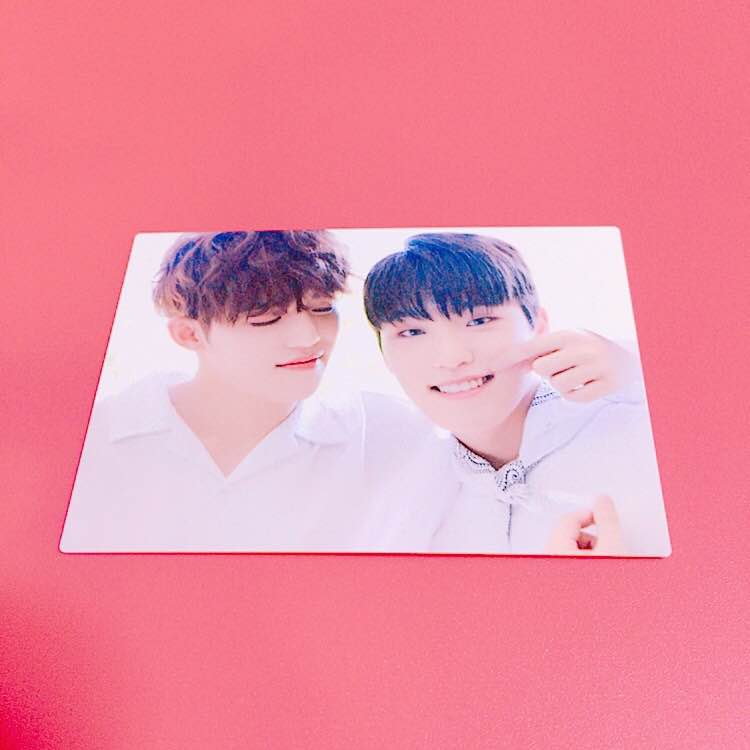 Trading cards - Scoups&Dino