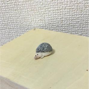 シャクレルプラネット ハリネズミ